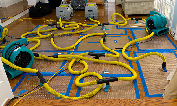 Professional Water Extraction technician working in Little Ferry, NJ